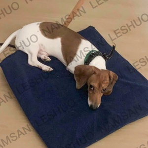 Indoor <span class=keywords><strong>Cat</strong></span> Dog Pet Betten Elektrische Heiz decke mit Baumwoll bezug für Haustier