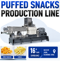 Nouvelle machine de fabrication de snacks fourrés, extrudeuse à double vis entièrement automatique en acier inoxydable 304, capacité élevée de 100-1000 kg/h