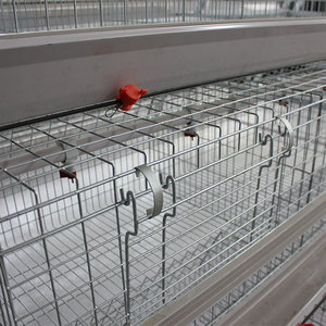 Jaula Automática Tipo A para Gallinas Ponedoras <span class=keywords><strong>de</strong></span> Granja Avícola, para Pollitas <span class=keywords><strong>de</strong></span> un Día, Buen <span class=keywords><strong>Precio</strong></span> - Product Image 4