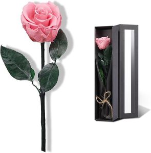 Rosa Eterna Individual Hecha a Mano con Tallo, Larga Duración (3-5 Años), Entrega Rápida, Rosas Preservadas Ecológicas - Product Image 6