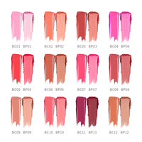 Palette de fard à joues embossée Danchel, poudre mate, blush velours, fard à paupières multifonctionnel, palette de maquillage pour le visage, cosmétiques féminins