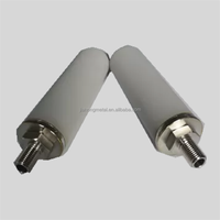Eléments filtrants poreux micron 20*300mm filetage M10 1 2 5 microns diffuseur d'air en acier inoxydable fritté