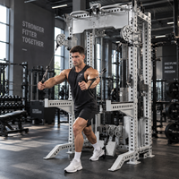 Système de poulies doubles réglables en métal pour la musculation à domicile, machine de tirage vertical mural, station de fitness pour le dos avec charge par plaques