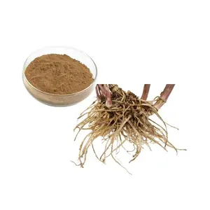 Hot Sale Valerian Root Extract Powder Valerian Extract Powder Valerian Root Powder