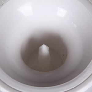 Zhen Yi Dian Qi Upright Water Dispenser 32x32x85cm Electric Plastic Bottom Load Hot Cold Water Dispenser - Product Image 3