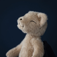 Mini peluche chat couleur abricot, mélange de poils de lapin, poupée apaisante, jouet en peluche doux de niche pour collectionneurs et cadeaux