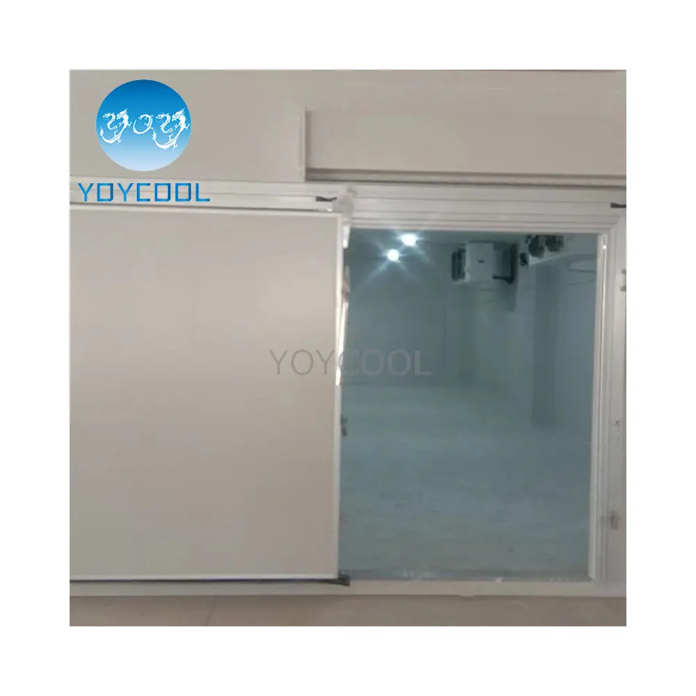 cool Room Insulation Freezer Door cold storage door