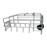 Cage de mise bas économique pour truies 2,2*0,7m, lit simple pour truies, positionnement des truies, ferme d'élevage avec abreuvoir en acier inoxydable en option