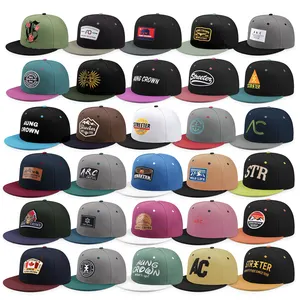 Casual Snapback Cap 3d Embroidery Hats & Caps 6 Panel Designers Cap Custom Hat Snapback Gray ,High Quality Embroidered Snapback