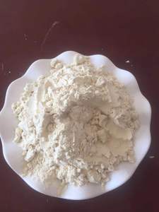Additivi alimentari 25 kg/bag glutine di frumento vitale utilizzato per il pane - Product Image 5