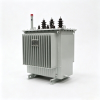Transformateur immergé dans l'huile 160 kVA 10 kV S11 triphasé abaisseur de tension 10000 V à 400 V pour distribution extérieure
