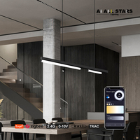 Système d'ajustement de la couleur par gradation 0-10V, rail magnétique 48V 10mm, éclairage linéaire LED magnétique encastré ultra-fin