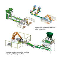Bras robotisé de palettisation à entraînement servo-électrique contrôlé par PLC entièrement automatique pour la ligne d'emballage de boîtes en carton et de sacs