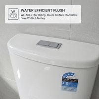 WC mural à raccordement direct certifié MWD WaterMark, chasse d'eau à décharge directe, siphon en S 100-190 mm, siphon en P 180 mm, pour hôtel