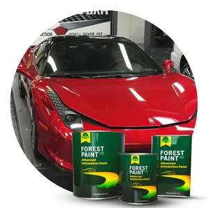 Car paint colour reference hot selling high gloss acrylic resin for automotive series lacquer paint mirror effect car clear coat