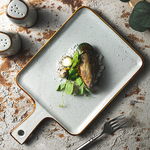 Juego de Vajilla Nórdica YAYU OEM, Platos de Cena para <span class=keywords><strong>Pasta</strong></span> Irregulares con Diseño Moteado Gris Mate, Plato de Cerámica Esmerilado Colorido - Product Image 5