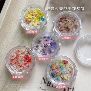 <span class=keywords><strong>Flores</strong></span> Secas Naturales de la Serie TSZS Monet Garden <span class=keywords><strong>para</strong></span> Decoración de <span class=keywords><strong>Uñas</strong></span>, Pequeños Materiales Florales de Cinco Pétalos en Colores Mixtos <span class=keywords><strong>para</strong></span> Manualidades - Product Image 3