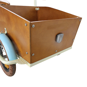 2025 populaire Mini enfants <span class=keywords><strong>vélo</strong></span> vitesse unique engrenage cadre en aluminium Tricycle <span class=keywords><strong>Cargo</strong></span> <span class=keywords><strong>vélo</strong></span> 48v tension Options colorées pour les enfants - Product Image 2