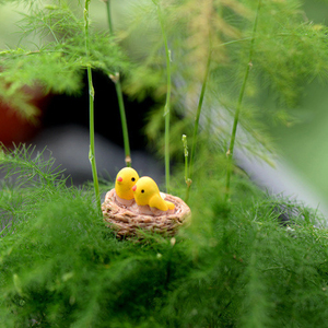 Nouveau Mini Nid avec Oiseaux, Miniatures de Jardin Féerique, Résine Plate, Oiseaux Kawaii de Dessin Animé, Artisanat pour la Décoration Intérieure - Product Image 2