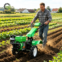 Motocultor Rotatorio de Gasolina de 4.92HP al por Mayor con Sistema de Arranque Fácil para Cultivo de Jardines y Trabajo en Semilleros