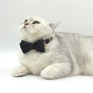 הדפסת לייזר אבזם זהב קטיפה נשלף bowtie כלב צווארון צבע רך חמוד נוח - Product Image 4