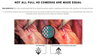 Caméra USB hd 1080p pas cher prix 4 voies bouton caméra endoscope multifonction pour la santé des animaux de compagnie