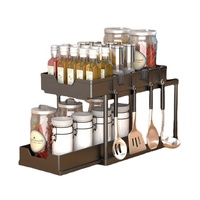 Étagère de Rangement en Plastique à 2 Niveaux pour Cuisine et Salle de Bain, Organisateur Sous Évier avec Panier
