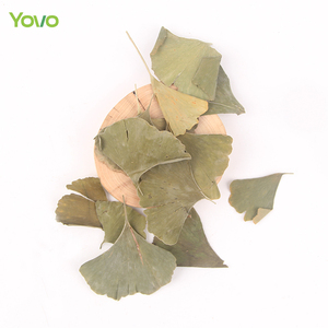 Té de hoja de <span class=keywords><strong>Ginkgo</strong></span> de hierba china seca Natural de alta calidad, <span class=keywords><strong>Ginkgo</strong></span> <span class=keywords><strong>Biloba</strong></span> seco para té, jabón para beber, vela, decoración artesanal - Product Image 3