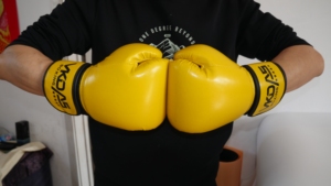 Guantes de <span class=keywords><strong>Boxeo</strong></span> Plam Rates Dragon Laceup Bayonta Purple Purifier Raja Russian Adx Club Stand Heater Neon Spiderman Types Girl 2 piezas - Product Image 2
