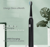 Brosse à dents électrique sonique, type C, charge rapide, 6 modes, minuteur intelligent, étanche IPX7, brosse à dents électrique pour adultes