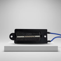 Chauffe-œufs en céramique avec thermostat automatique pour couveuse de poulets et élevage avicole