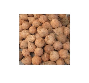 Noix de coco séchée du Viet Nam de haute qualité bon marché - Product Image 1