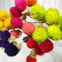 Fleurs de Gomphrena (Amarante Globe) Stabilisées 2020, Meilleures Ventes, Étanche, Haute Qualité, Pour Intérieur/Extérieur, Idéal Saint-Valentin