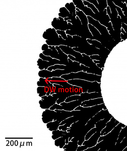Sistema de Efecto Kerr Magnetoóptico de Superficie Dexinmag, Magnetómetro de Alta Sensibilidad, Equipo de Laboratorio MOKE, OEM/ODM/OBM - Product Image 4