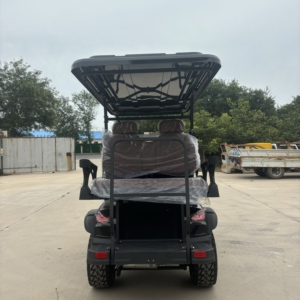 Carrito de Golf HKBG de 2+2 Plazas de Alta Potencia con Certificación CE, Venta al por Mayor de Carritos de Golf HKBG de 4 Plazas, Carrito de Golf de Gasolina de 2+2 Plazas - Product Image 5