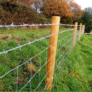 Filo Spinato per Recinzioni di Sicurezza, Protezione Perimetrale e Uso Agricolo, Resistente, Affilato e Durevole alle Intemperie - Product Image 5