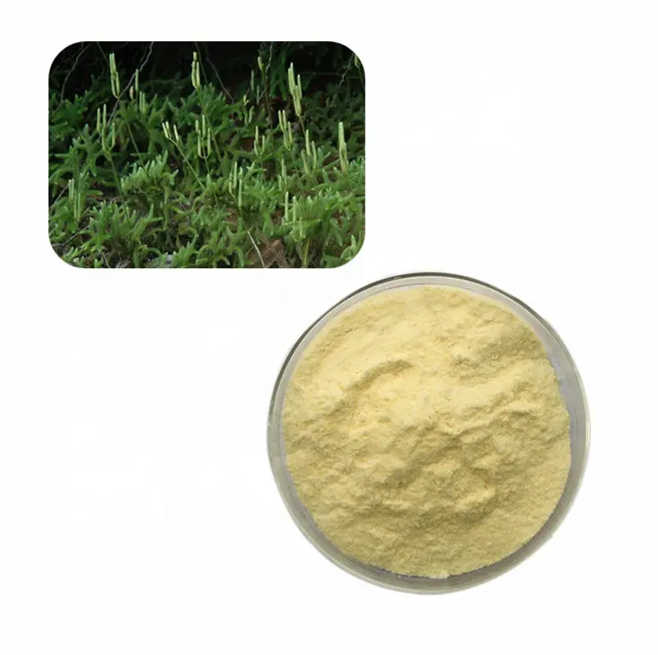 Light Grade Natural Lycopodium Spore Powder as Firework Raw Material