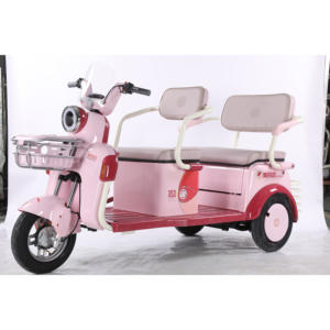 Triciclo Eléctrico Abierto de Alta Calidad, el Más Vendido, Ideal para Desplazamientos Diarios y Recogida y Entrega Escolar - Product Image 4