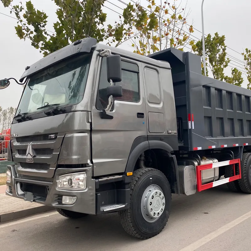 Sinotruck Howo 336hp 6X4 10 roues Euro 2 Euro 5 d'occasion Camions à benne basculante