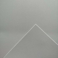 Tissu PVC tissé ignifuge, imperméable, léger, pour bateaux gonflables, anti-bactérien, résistant à l'huile, Hongkai HK-021 pour la construction de bateaux