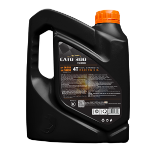 Huile moteur NPOIL CATO 300 TURBO 5W30 4L 5L 6L / Huile moteur pour voitures particulières / Huile de base et additifs premium - Product Image 5