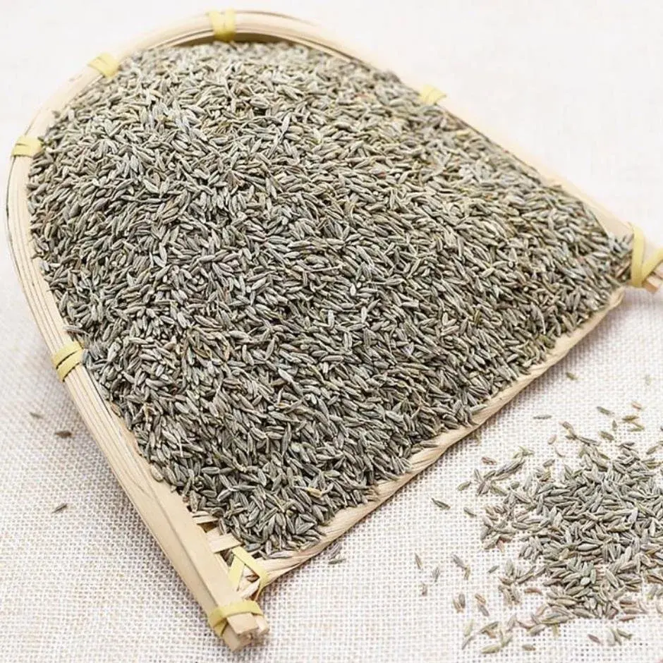 SFG singole spezie semi di cumino tè fresco raccolto e secco in granuli di cumino cinese