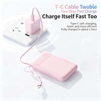 Batterie externe portable personnalisée 20 000 mAh en polymère de lithium PVC, certifiée 3C, best-seller, charge ultra-rapide 225W, vente en gros
