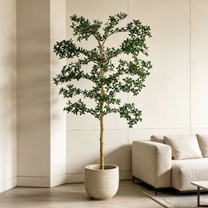 Albero di Ulivo Nero Artificiale Staccabile da 7' Molto Realistico, Decorazione Moderna per la Casa, Alberi di Ulivo Neri Finti Altamente Realistici - Product Image 1