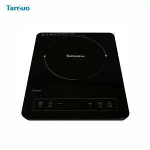 2024 New Arrival High Power Infrared Microcrystalline Plate Induction Cooker For Household Party Use Mini Portable Cooktop
