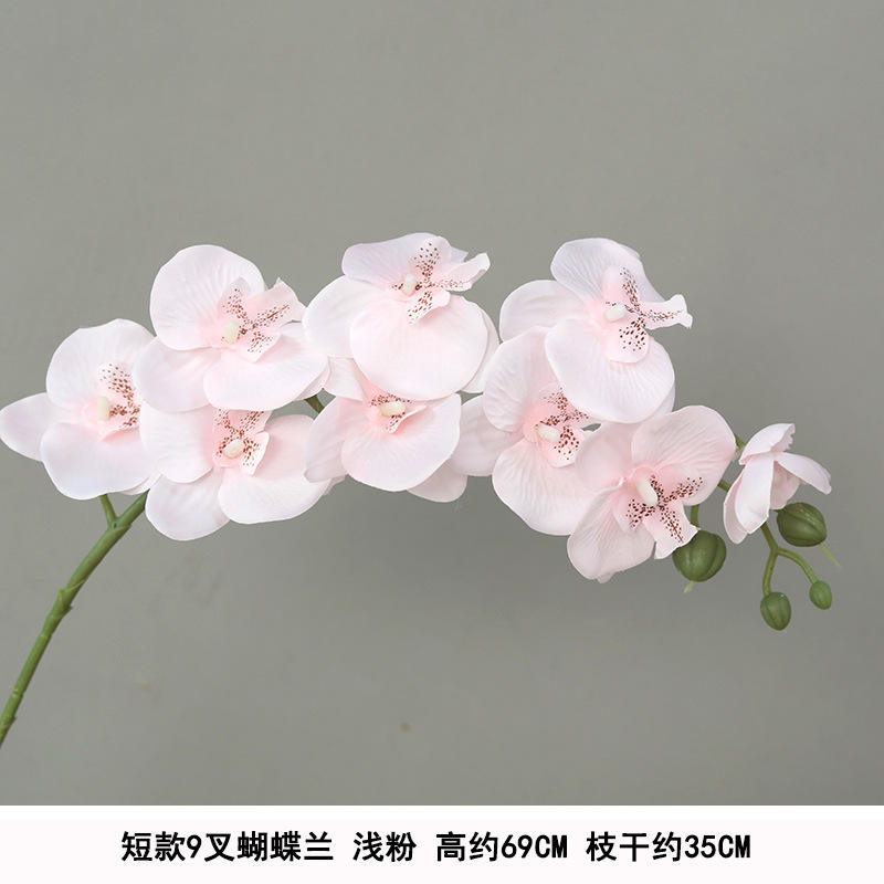 สั้นผ้าไหมสีชมพูอ่อน Phalaenopsis