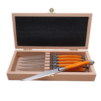 Ensemble de couteaux à steak en acier inoxydable avec manche en plastique de couleur arc-en-ciel, 6 pièces, écologiques, lavables au lave-vaisselle, style Laguiole, couverts de table