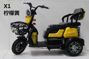 Cheap Fat Tire 3 Wheel Electric Bike 3 Wheel Electric Tricycles For Adults