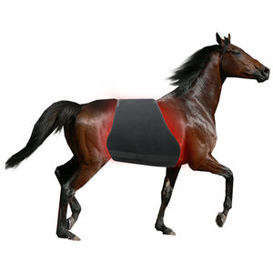 <span class=keywords><strong>Couverture</strong></span> de thérapie infrarouge équine de produit de soin de <span class=keywords><strong>cheval</strong></span> de lumière rouge avec 660nm 850nm - Product Image 2