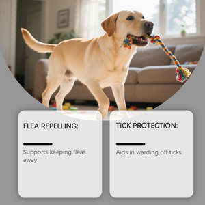 <span class=keywords><strong>Spray</strong></span> Répulsif Anti-Puces et Tiques pour Animaux de Compagnie, Brume Anti-Parasites, Soin de la Peau et du Pelage pour Chiens et Chats, Fournitures de Toilettage en Extérieur - Product Image 4